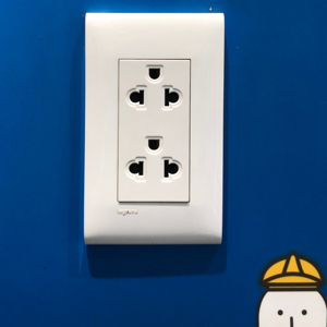 Ổ cắm đôi 3 chấu có màng che 654326