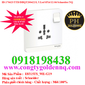 Ổ cắm đơn đa năng 16A Schneider E8315TS_WG_G19