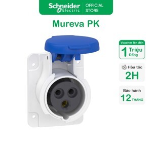 Ổ cắm gắn tủ Schneider IP44 PKF16G423 16A