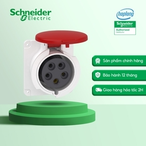 Ổ cắm gắn tủ Schneider IP44 PKF32G435 32A