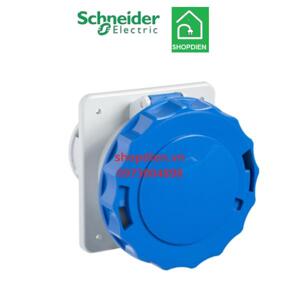 Ổ cắm gắn tủ Schneider IP67 81678 63A