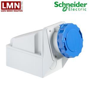 Ổ cắm gắn tường Schneider IP67 81178