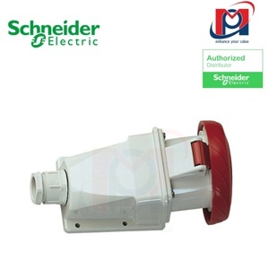 Ổ cắm gắn tường Schneider IP67 PKF16W735