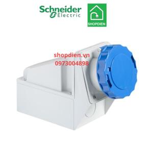 Ổ cắm gắn tường Schneider IP67 81178