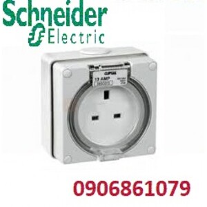 Ổ cắm IP66 Schneider S56SO313GY