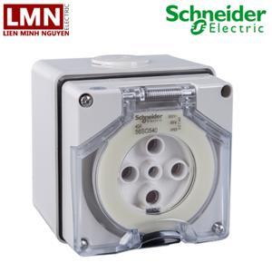 Ổ cắm IP66 Schneider S56SO540GY