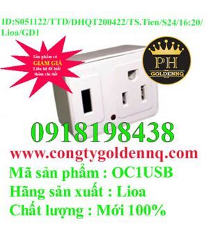 Ổ cắm Lioa nối chuẩn Mỹ với sạc USB-OC1USB