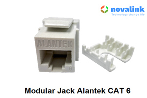 Ổ cắm mạng Cat6 ALANTEK 302-2QX618-WHAB