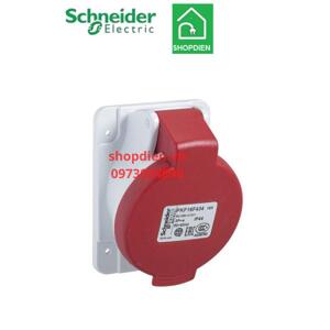 Ổ cắm nghiêng Schneider PKF32F435