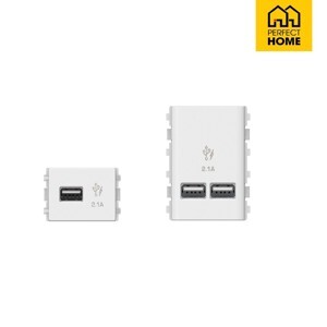 Ổ cắm sạc USB 2.1A đơn Concept Schneider 3031USB_WE