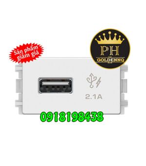 Ổ cắm sạc USB 2.1A đơn Concept Schneider 3031USB_WE