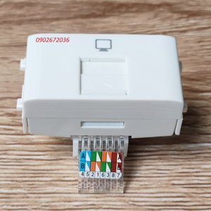 Ổ cắm Sino SC31RJ5E