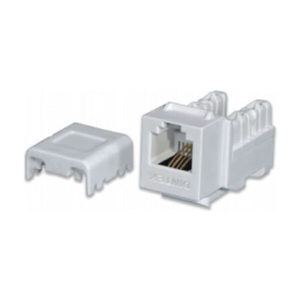 Ổ cắm thoại RJ11 Keystone Jack Dintek Cat.3 Unshielded 1305-01007