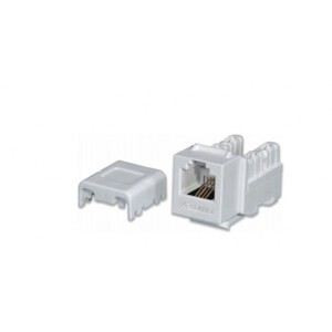 Ổ cắm thoại RJ11 Keystone Jack Dintek Cat.3 Unshielded 1305-01007