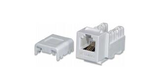 Ổ cắm thoại RJ11 Keystone Jack Dintek Cat.3 Unshielded 1305-01007