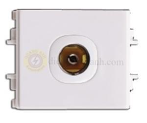 Ổ cắm Tivi Schneider F50TVM_WE_G19 - Size M