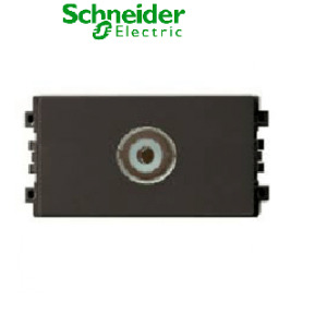 Ổ cắm TV Schneider 8431STV_BZ_G19