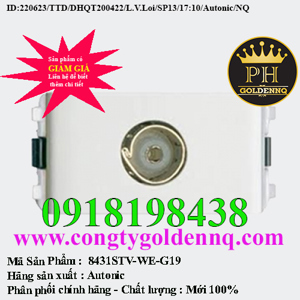 Ổ cắm TV Schneider 8431STV_WE_G19