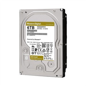 Ổ cứng Desktop WD HDD Gold 6TB WD6003FRYZ (6TB/3.5 inch/SATA 3/256MB Cache/7200RPM)