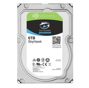 Ổ cứng giám sát Seagate ST6000VX0001 - 6TB