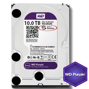 Ổ cứng HDD Western WD101PURZ 10TB