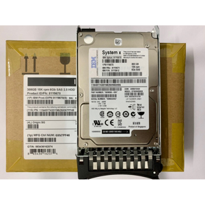 Ổ cứng IBM 300GB 2.5in SFF -HS 15K 6Gbps SAS (81Y9670)