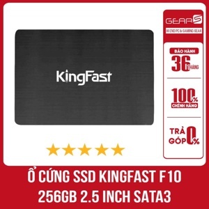 Ổ cứng Kingfast F10 256GB