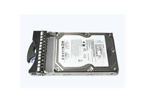 Ổ cứng máy chủ IBM 44W2234 300Gb SAS