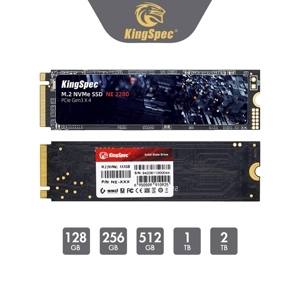 Ổ cứng máy tính Kingspec NE-128