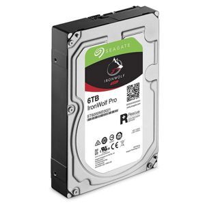 Ổ cứng Seagate Ironwolf Pro ST6000NE0021 6TB