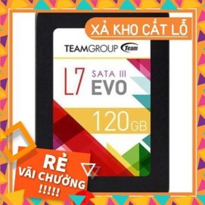 Ổ cứng SSD 120GB Team L7 EVO Sata III