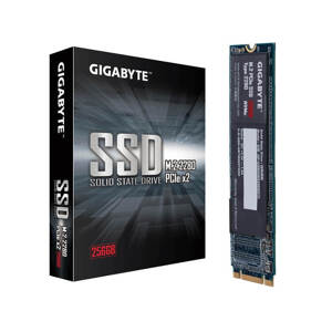 Ổ cứng SSD Gigabyte 256GB M.2 2280 PCIe NVMe Gen 3x2 GSM2NE8256GNTD