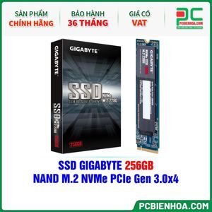 Ổ cứng SSD GP-GSM2NE3256GNTD