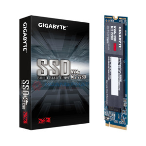 Ổ cứng SSD GP-GSM2NE3256GNTD