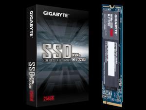 Ổ cứng SSD GP-GSM2NE3256GNTD