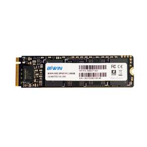 Ổ cứng SSD HP Biwin SP423 256GB