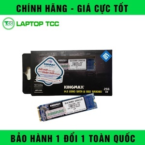 Ổ cứng SSD Kingmax Zeus PX3280 256GB