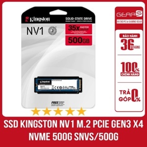 Ổ cứng SSD Kingston NV1 500GB M.2 2280 NVMe PCIe (SNVS/500G)