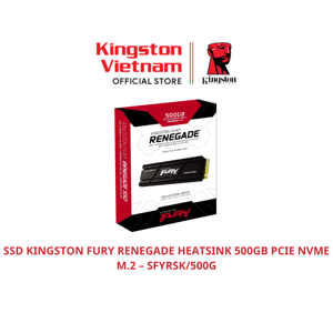 Ổ cứng SSD Kingston SFYRS 500GB