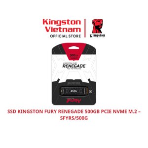 Ổ cứng SSD Kingston SFYRS 500GB