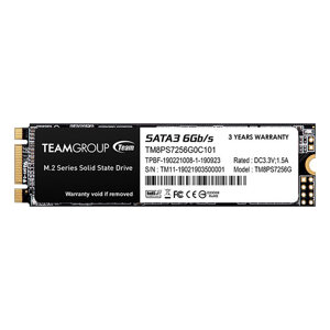 Ổ cứng SSD M2-SATA 256GB Teamgroup MS30 2280