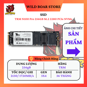 Ổ cứng SSD NVMe TRM N100 Pro 256GB