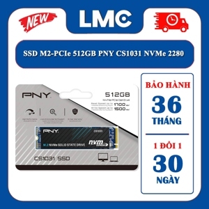 Ổ cứng SSD PNY 500GB CS1031