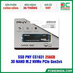 Ổ cứng SSD PNY CS1031 256GB M.2 2280 NVMe