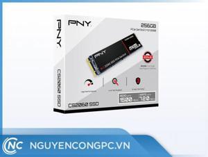 Ổ cứng SSD PNY CS2060 256GB