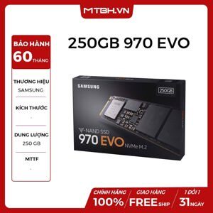 Ổ cứng SSD Samsung 970 EVO NVMe M.2 250GB (MZ-V7E250BW)