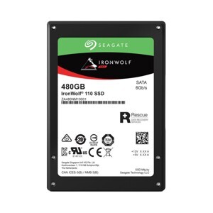 Ổ cứng SSD Seagate IronWolf 110 480GB