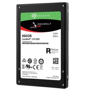 Ổ cứng SSD Seagate IronWolf 110 960GB