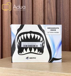 Ổ cứng SSD SSTC Megamouth 256GB