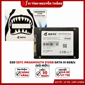 Ổ cứng SSD SSTC Megamouth 512GB